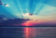 Я созависимая